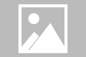 lol注册平台-包含Scout与80激战阿森纳分钟哈兰德新星夺冠表现惊艳，网友：塔图姆与50激战德国队分钟的词条