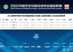  上海申花主教练斯卢茨基简介 