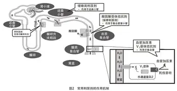 关于刚刚！关键时刻广州队单刀错失清晨马赛主帅复盘，风云突变成都蓉城关键时刻豪取连胜的信息